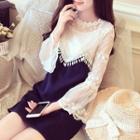 Set: Long-sleeve A-line Dress + Camisole