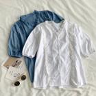 Plain V-neck Eyelet-lace Short-sleeve Blouse