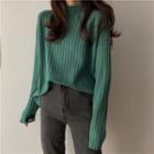 Semi High-neck Plain Long-sleeve Sweater