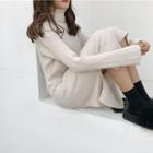 Plain Turtle-neck Slim-fit Long-sleeve Knit Dress