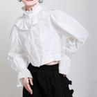 Ruffle Trim Stand-collar Cropped Blouse
