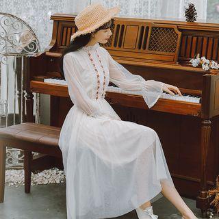 Sheer Long-sleeve Midi A-line Dress