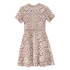 Crochet Lace Short-sleeve A-line Dress