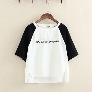 Letter Embroidered Raglan Short-sleeve T-shirt White - One Size