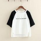 Letter Embroidered Raglan Short-sleeve T-shirt White - One Size