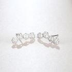 Paw Stud Earring Footprint - One Size