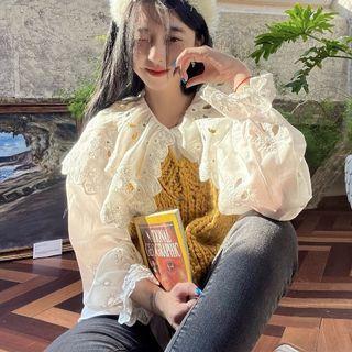 Embroidered Eyelet Blouse / Plain Sweater Vest