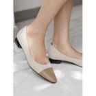 Toe-cap Low-heel Pumps