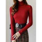 Turtle-neck Fitted Rib-knit Top
