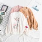 Animal Embroidered Long-sleeve Sweatshirt