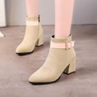 Pointed Block Heel Buckled Short Boots