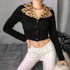 Leopard Print Collar Long-sleeve T-shirt