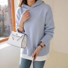 Hooded Sweater In 4 Colors