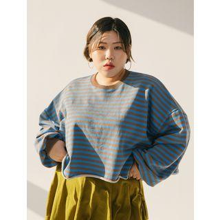 Plus Size Cropped Stripe Sweatshirt