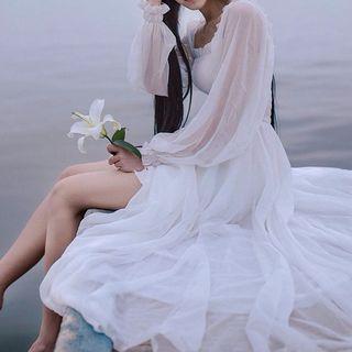 Plain Chiffon Long-sleeve Dress