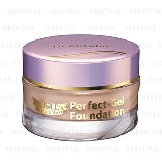 Dr.ci:labo - Perfect Gel Foundation Spf40 Pa+++ 30g
