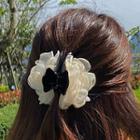 Flower / Shell Hair Clamp