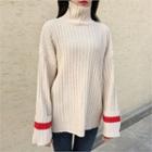 Turtle-neck Contrast-trim Ribbed Sweater