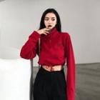 Embroidered Half-zip Turtleneck Cropped Sweatshirt Red - One Size