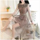 Flower Applique Long-sleeve A-line Midi Mesh Dress