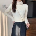Plain Stand Collar Ruched Fleeced Long-sleeve Top