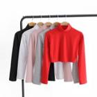 Turtleneck Long-sleeve Cropped T-shirt