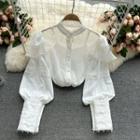 Set Of 2: Stand-collar Lace Embroidered Chiffon Top + Plain Camisole Top