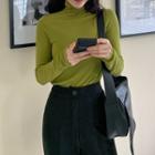 Turtleneck Woolen Slim-fit Top