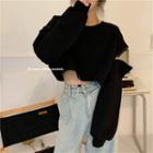 Crewneck Plain Long-sleeve Sweatshirt Black - One Size
