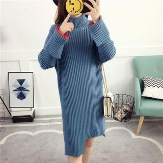 Turtleneck Ribbed Long-sleeve Knit Dress
