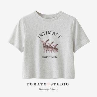 Round-neck Printed Oversize Cropped Top