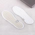 Deodorizing Shoe Insole