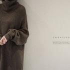 Turtle-neck Long Sweater Dress