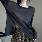 Long-sleeve Sheer T-shirt / Leopard Print Shorts