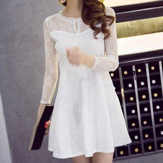 Sheer Panel Long-sleeve A-line Dress
