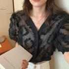 Short-sleeve V-neck Sheer Top