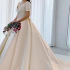 Short Sleeve V-neck Open Back Satin Wedding Gown