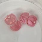 Flower Acrylic Earring 1 Pair - Pink & Red - One Size