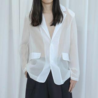 Organza Oversized Sheer Blazer