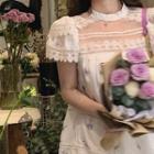 Flower Print Eyelet Lace Short-sleeve Shift Dress