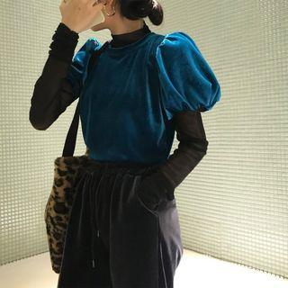 Velvet Short-sleeve T-shirt / Sheer Top