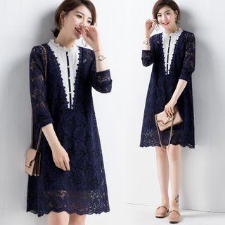 Long-sleeve Buttoned Lace A-line Dress