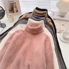 Long-sleeve Turtle-neck Plain Sweater