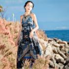 Sleeveless Printed A-line Midi Beach Dress