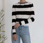 Cropped Stripe Ribbed Knit Top