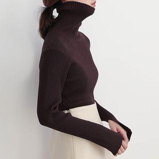 Turtlenck Long-sleeve Knit Top