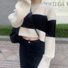 Cropped Color Block Sweater