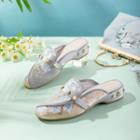 Low-heel Embroidered Mules