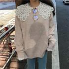 Plain Sweater / Lace Collar Long-sleeve Blouse