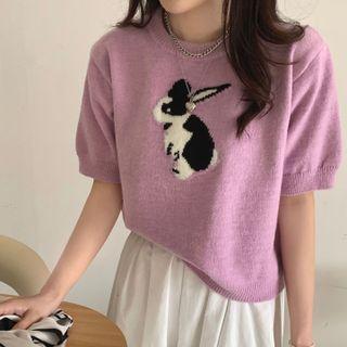 Rabbit Color Panel Short-sleeve Knit Top